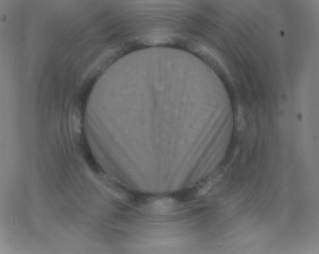 X0000077350210200611101622