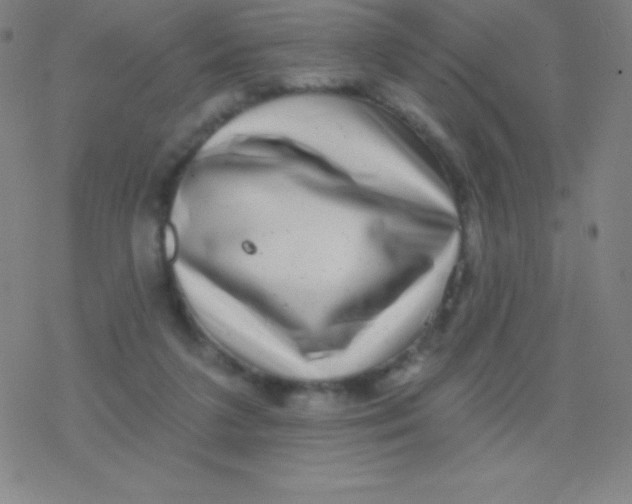 X0000077350211200611101622