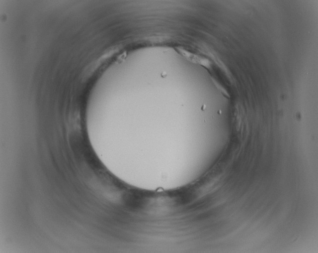 X0000077350212200611101622