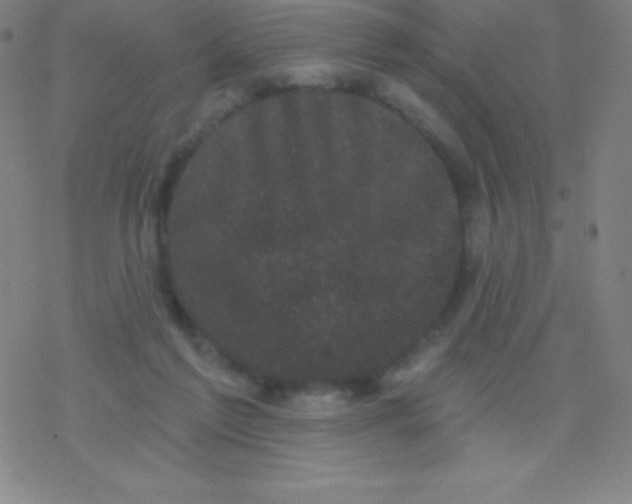 X0000077350213200611101622