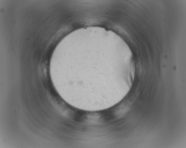 X0000077350214200611101622