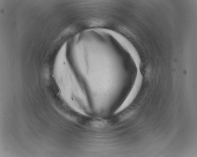 X0000077350215200611101622