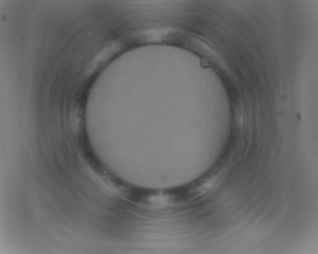 X0000077350216200611101622