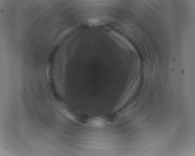 X0000077350219200611101622