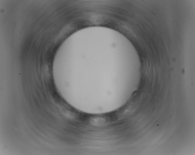 X0000077350220200611101622