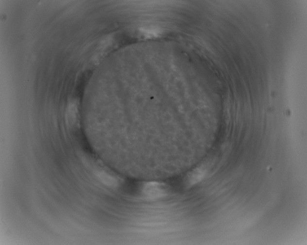 X0000077350222200611101622