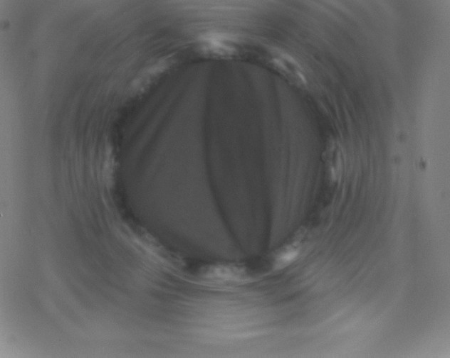 X0000077350223200611101622