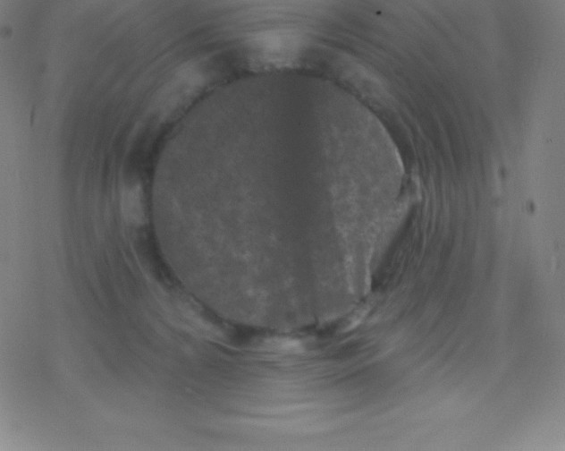 X0000077350224200611101622