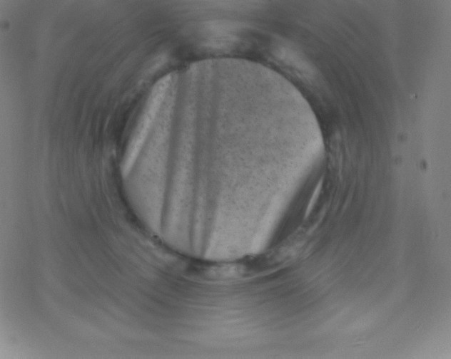 X0000077350225200611101622