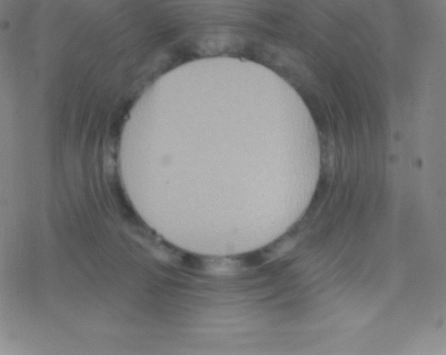 X0000077350226200611101622