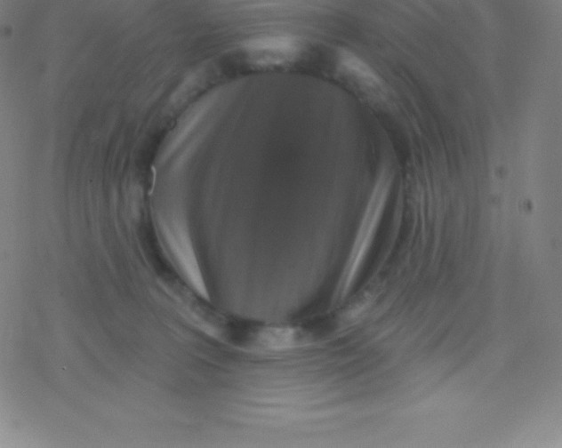 X0000077350227200611101622