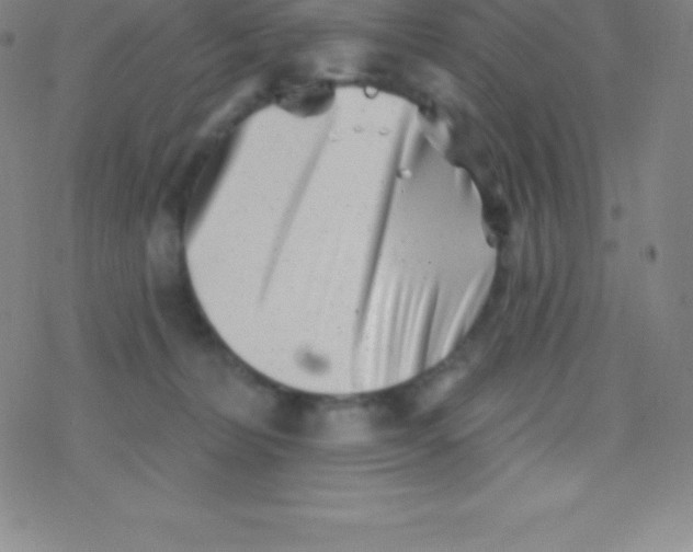 X0000077350228200611101622