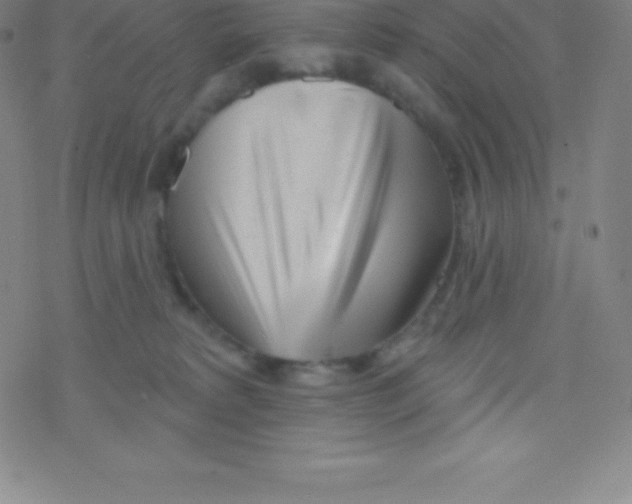 X0000077350229200611101622