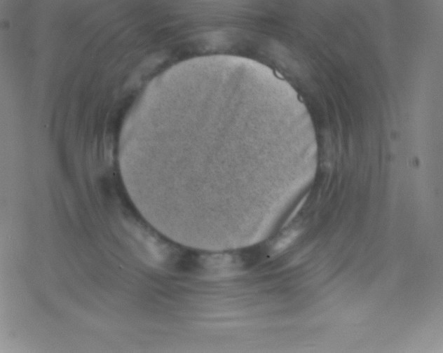 X0000077350230200611101622