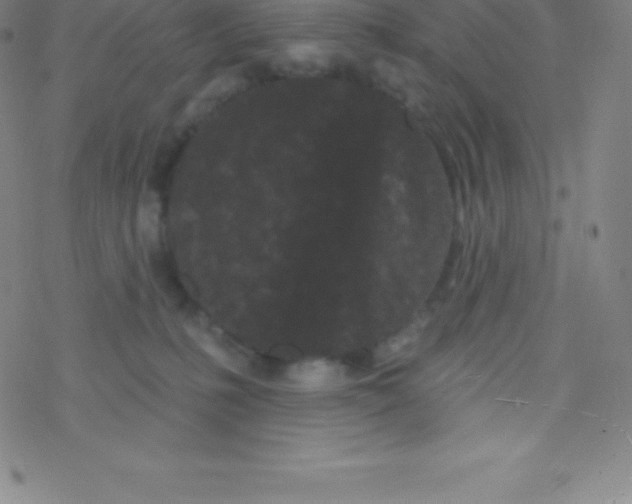 X0000077350231200611101622