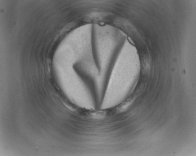 X0000077350232200611101622