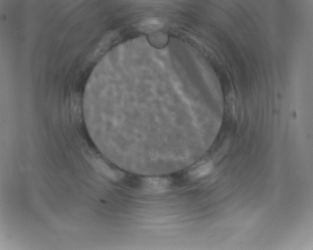 X0000077350234200611101622