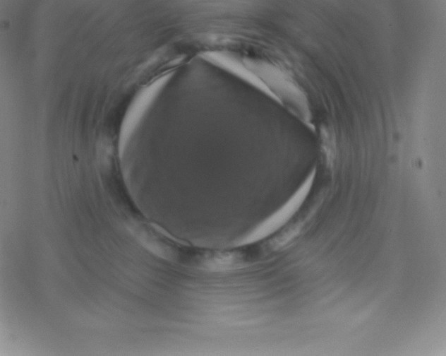 X0000077350235200611101622