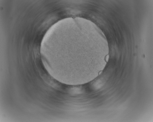 X0000077350236200611101622