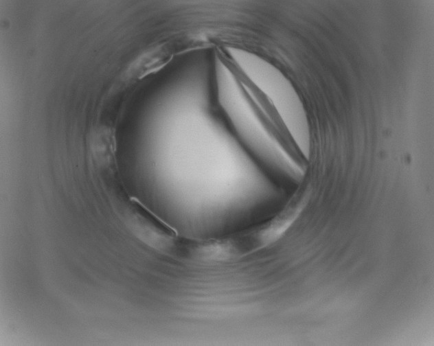 X0000077350237200611101622