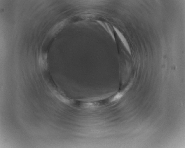 X0000077350239200611101622