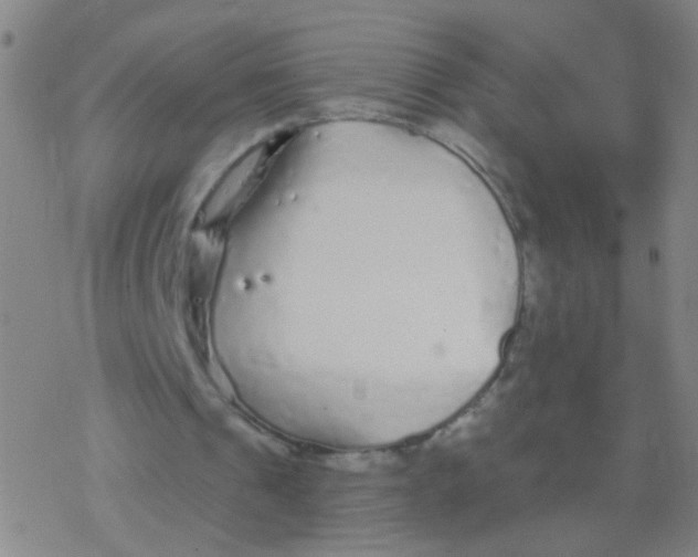 X0000077350241200611101621