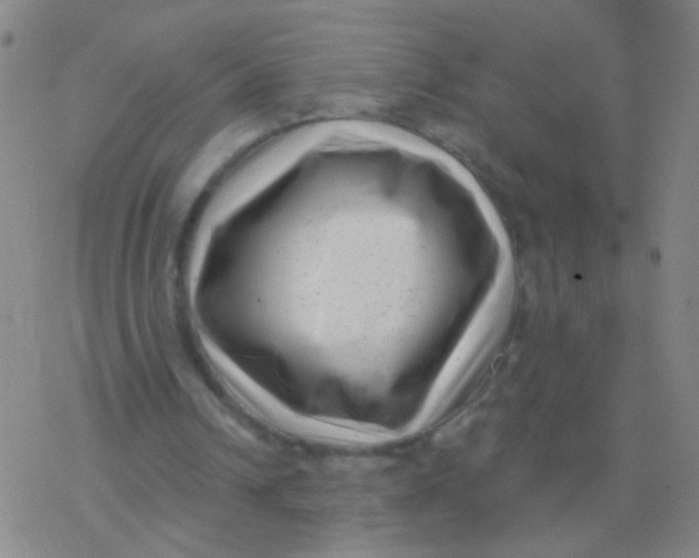 X0000077350242200611101621