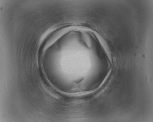 X0000077350246200611101621