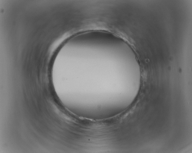 X0000077350248200611101621