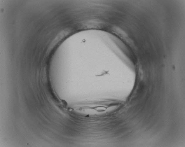 X0000077350250200611101621