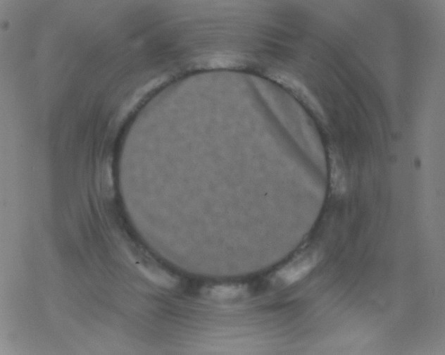 X0000077350251200611101621