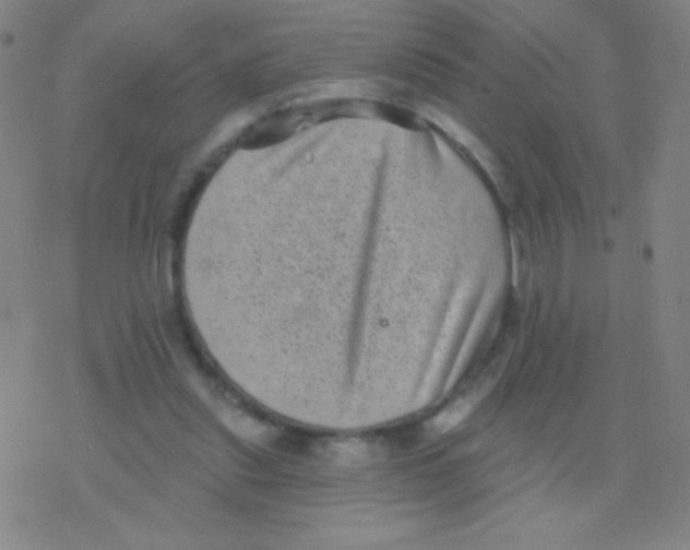 X0000077350253200611101621