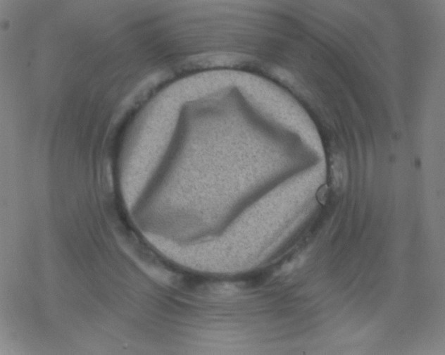 X0000077350254200611101621