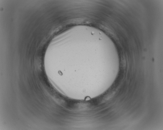 X0000077350255200611101621