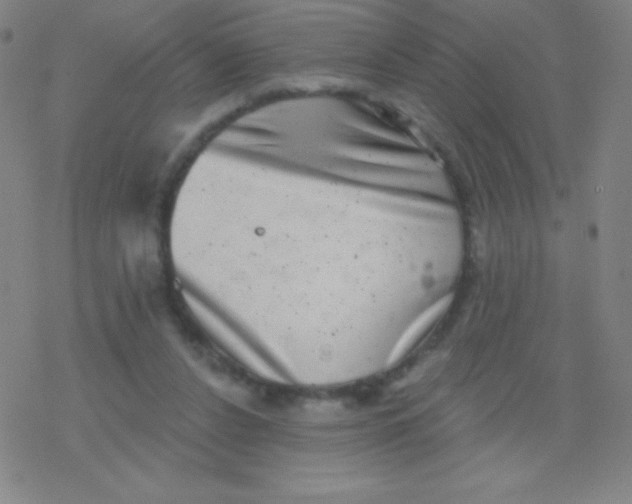 X0000077350256200611101621