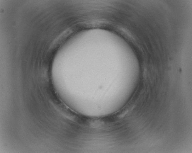 X0000077350258200611101621