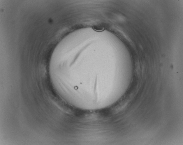 X0000077350259200611101621