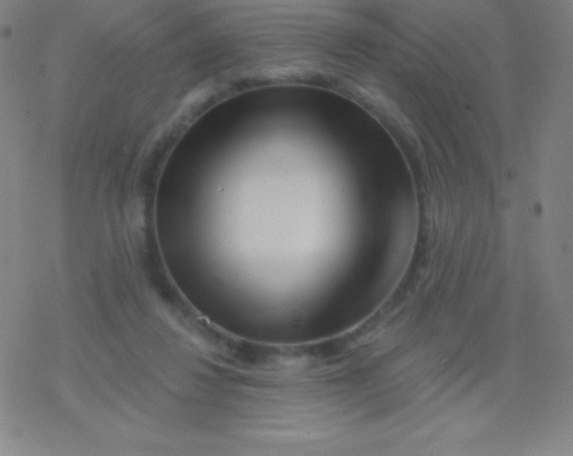 X0000077350260200611101621