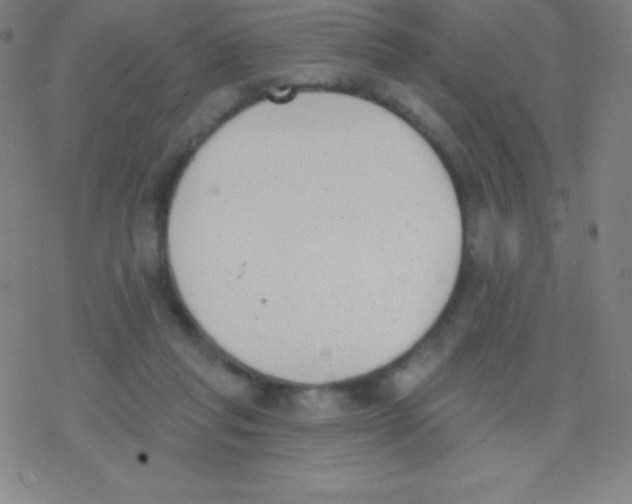 X0000077350261200611101621