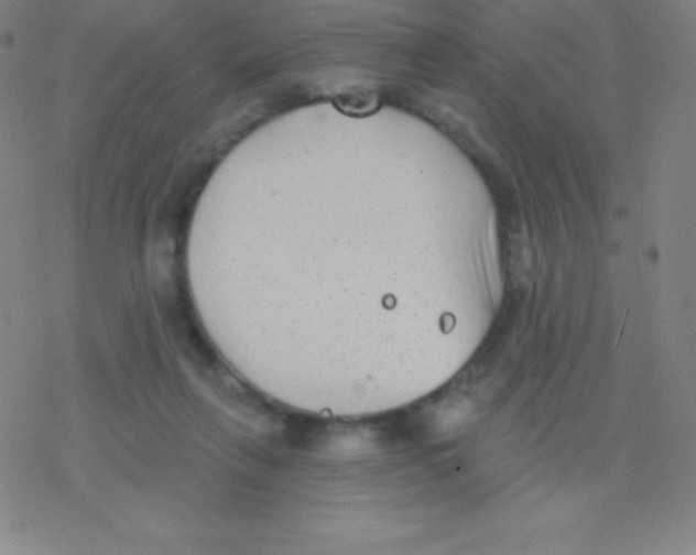 X0000077350263200611101621