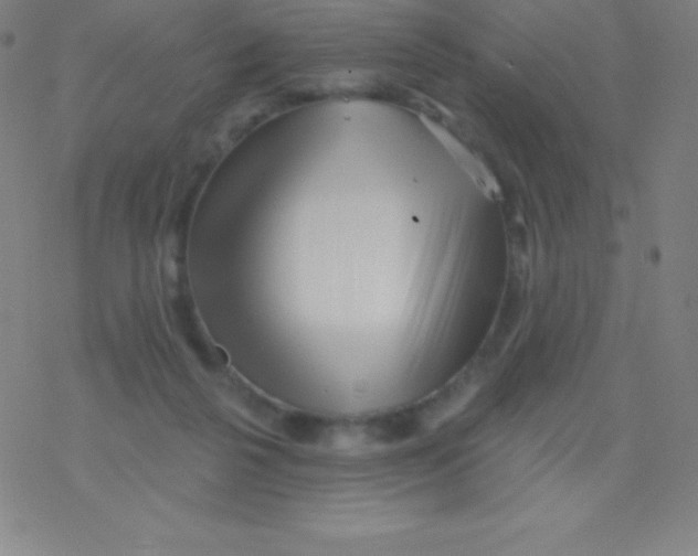 X0000077350264200611101621