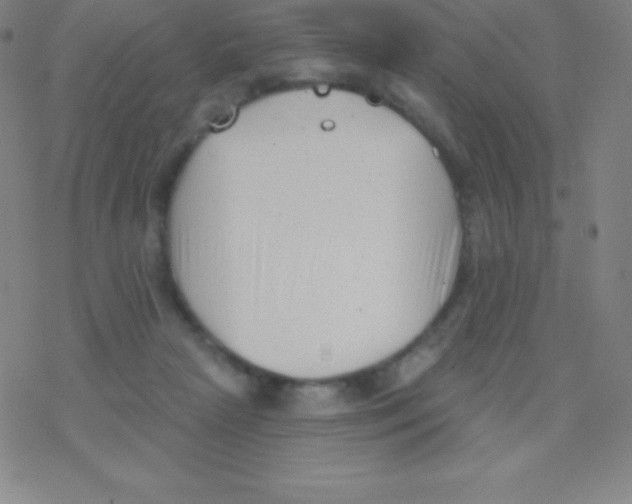 X0000077350265200611101621