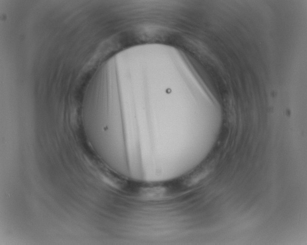 X0000077350266200611101621