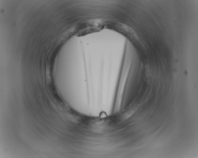 X0000077350267200611101621