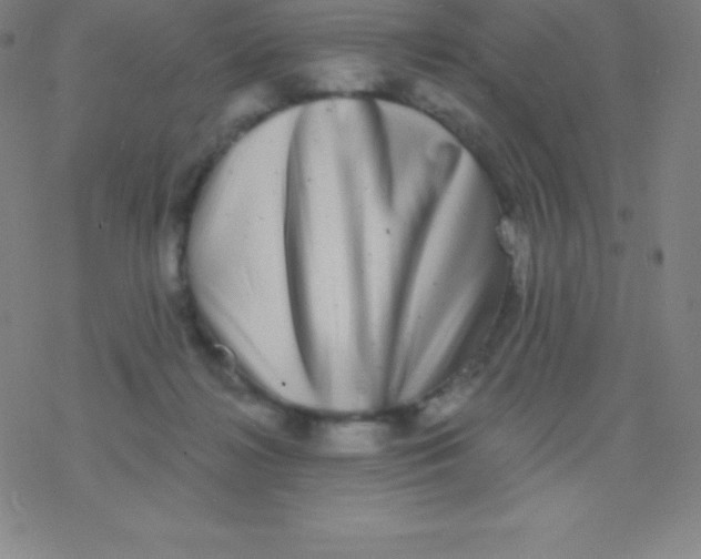 X0000077350268200611101621