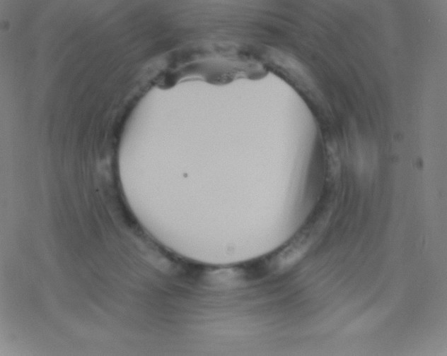 X0000077350269200611101621