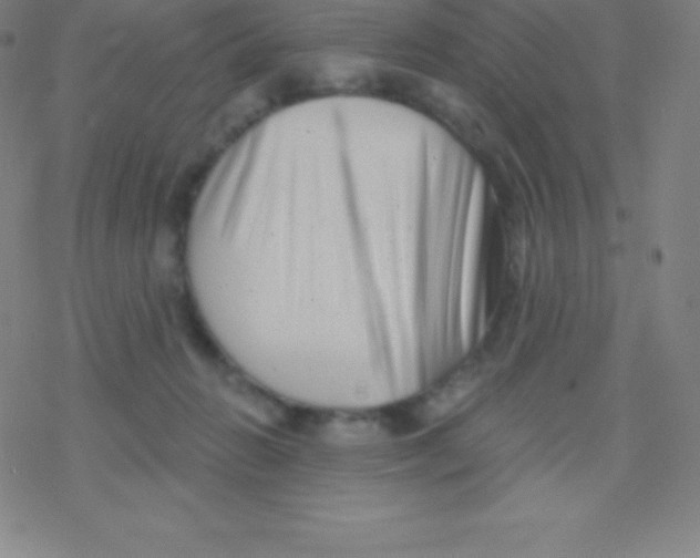 X0000077350270200611101621