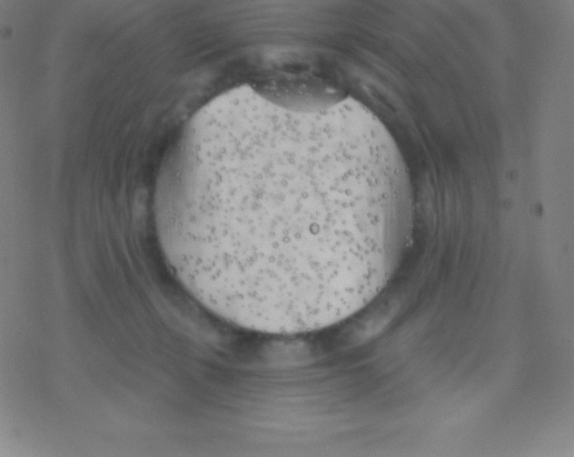 X0000077350271200611101621