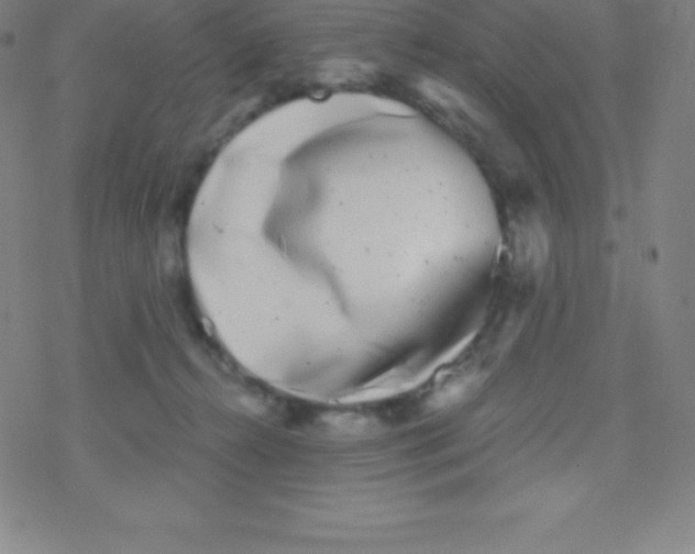 X0000077350272200611101621