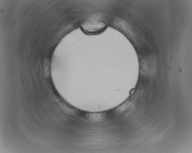 X0000077350273200611101621